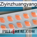 Ziyinzhuangyang 26